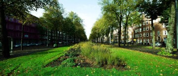 Leren van gedragsbeïnvloeding begint bij jouw case