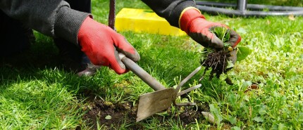 Maak je tuin klaar voor het voorjaar