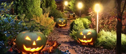 Halloween in eigen tuin