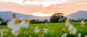 Hoe zeg ik nee zonder schuldgevoel – en waarom dat niets met egoïsme te maken heeft