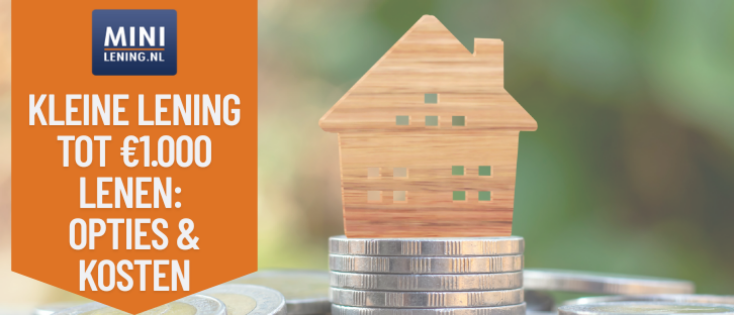 Kleine lening tot €1.000 lenen: opties, kosten, BKR en risico’s in Nederland