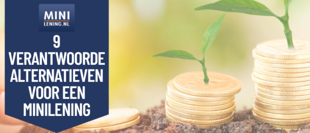 9 Verantwoorde Alternatieven voor een Minilening in Nederland