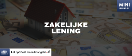 Zakelijk Geld Lenen: Top 5 Aanbieders in 2025