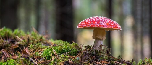 5 Tips voor herfst in Tsjechië