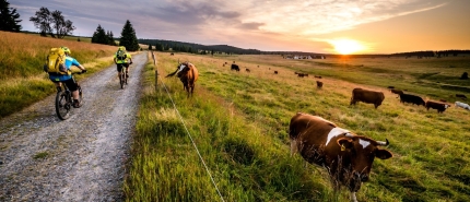 Reistrends Tsjechië 2026: rust, verborgen parels en duurzame vakanties
