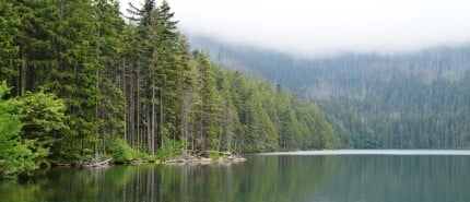 10 recordhouders van de Tsjechische natuur