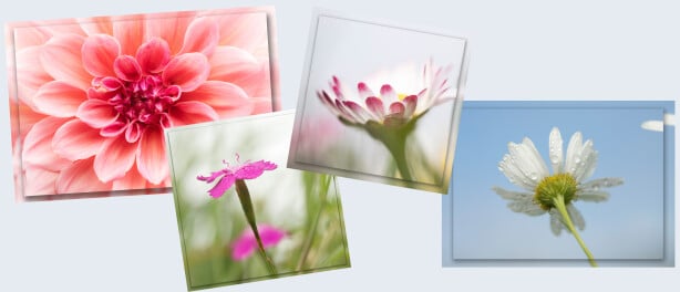 Foto op foto plaatsen met Photoshop of Elements