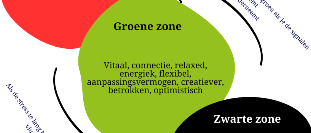 In welke vitaliteits zone zit jij?