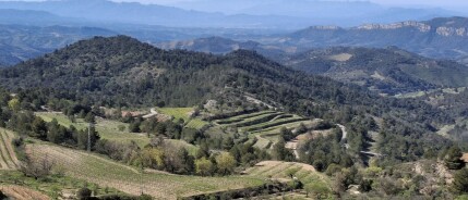 Beleef de oogst in Catalunya