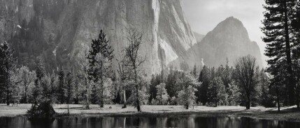 Ansel Adams