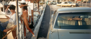 Joel Meyerowitz