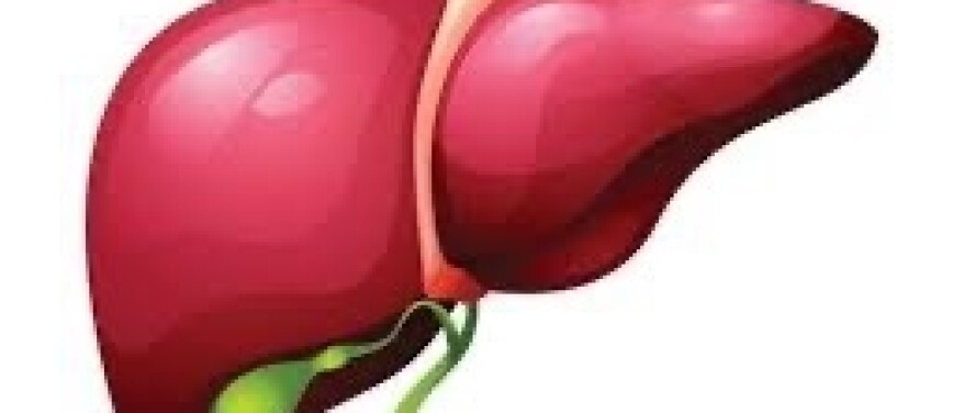 De Functie van de Lever Tijdens de Menstruatie en Overgang, en de Relatie met Rug- en Beenpijn