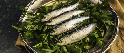 Te Weinig Omega-3: Wat Het Grootste Onderzoek Ter Wereld Ons Leert