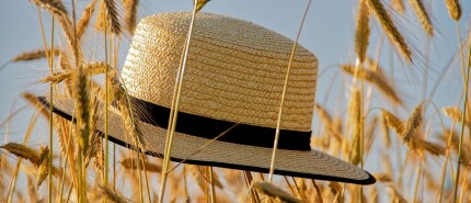 Lughnasadh: een innerlijk oogstfeest vol dankbaarheid, loslaten en verbinding