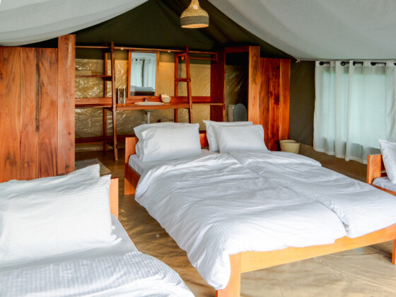 Kimbilio Serengeti Camp Lobo |Accommodation in Lobo Serengeti Tanzania