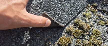 Wat kost het vervangen van bitumen dakbedekking? Dit moet je weten