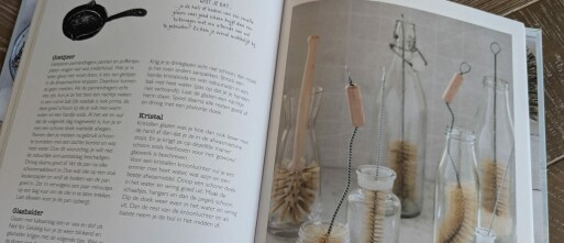 Recensie – Schoonmaak Geheimen van Dille & Kamille