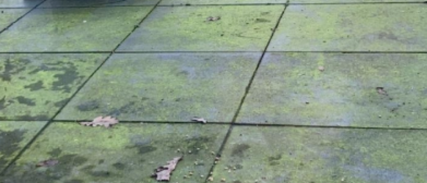 Groene aanslag verwijderen van je terras - Boenklus 7