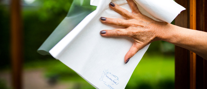 Ferry Shiny World Ramendoek – Goedgekeurd