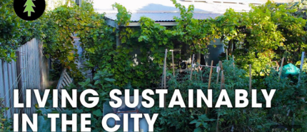 De 5 meest praktische tips voor een duurzame huishouding uit ‘Living sustainably in the city’