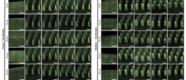 uPATCH Supports Research on the Design and Skin Penetration of Polymeric Microneedles