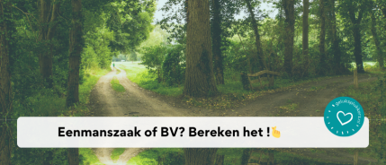 Eenmanszaak of BV
