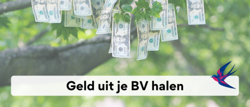Geld uit je BV halen