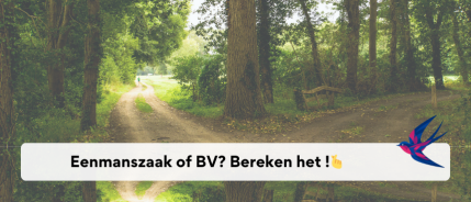 Eenmanszaak of BV