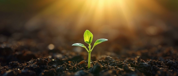 Als ik dit had geweten, had ik het anders gedaan