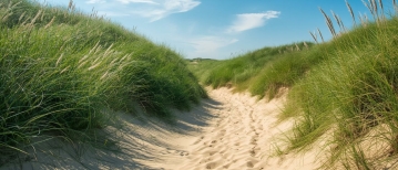 “Waarom kan mijn kind zich zo slecht concentreren?”