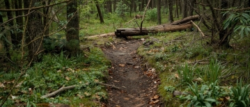 Mijn kind weet niet waar hij moet beginnen