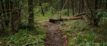 Alles komt op het laatste moment bij mijn kind