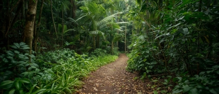 “Hij weet het wel, maar is het steeds weer kwijt”