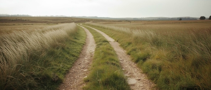 “Hij kan het wel, maar wil het niet”
