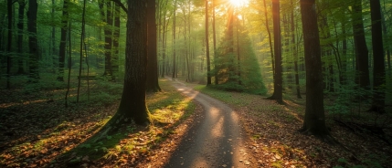 “Is het normaal dat mijn kind nergens meer energie voor heeft?”