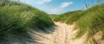 “Moet ik me zorgen maken over concentratieproblemen?”