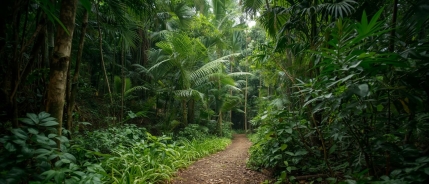 “Hoe kan het dat mijn kind het snapt, maar het niet kan toepassen?”