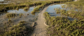 “Waarom gaat het zo traag, terwijl mijn kind het kan?”