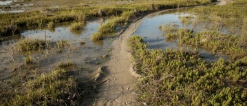 “Moet mijn kind sneller werken?”