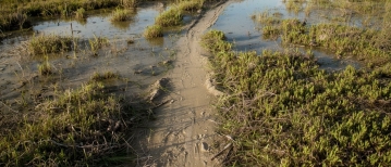 “Waarom blijven tafels en spelling zo moeilijk?”