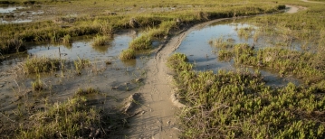 Waarom leest mijn kind nog zo langzaam?