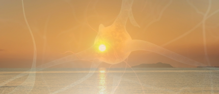 You Don’t Have to Be Perfect to Be Present