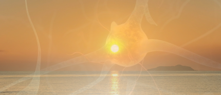 Remembering the New Magical Human: Reflections from Guru Deva at the Magical Summit.