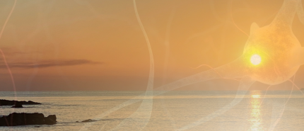 Awakening and Embodiment: A Journey with Guru Gian at the July 9 Summit