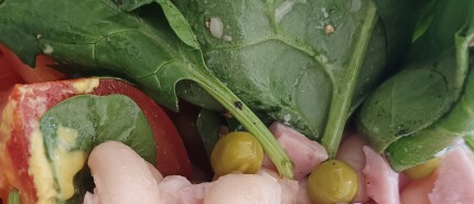 Voeding, succes en je trimsalon