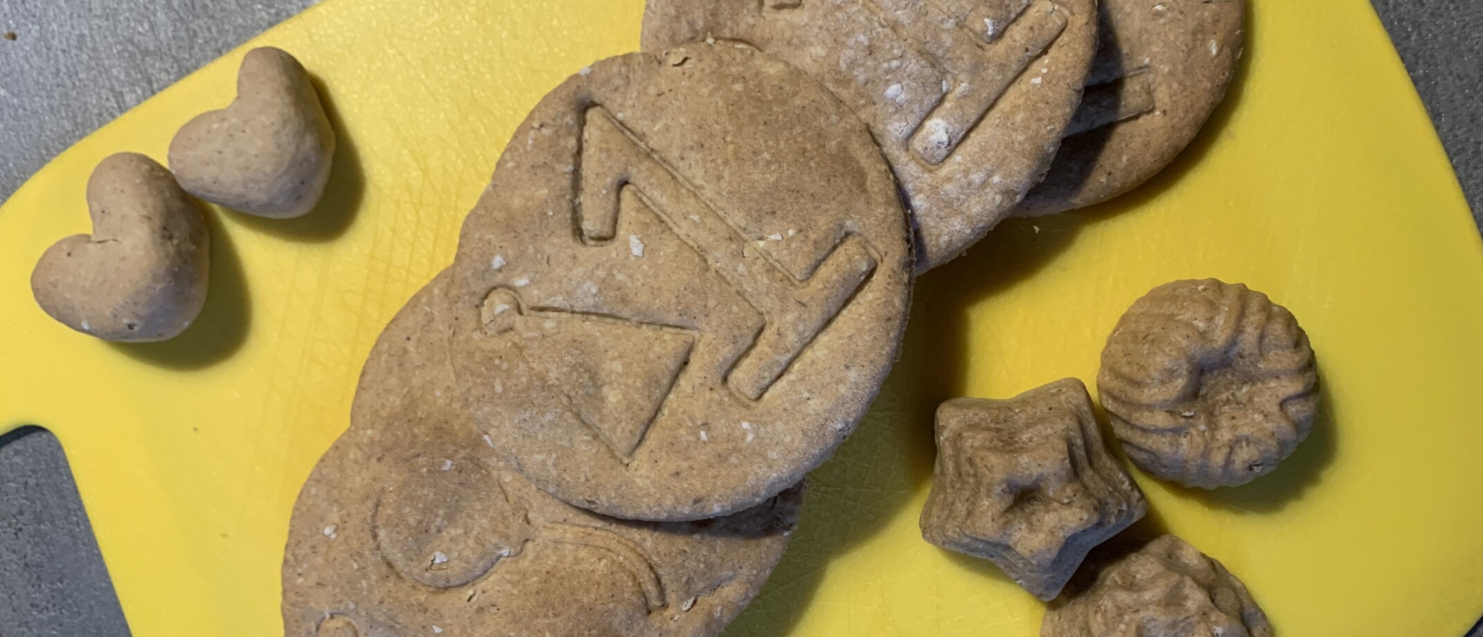 Hoe kan ik mijn hond rustig oud en nieuw laten vieren? Stressvrij