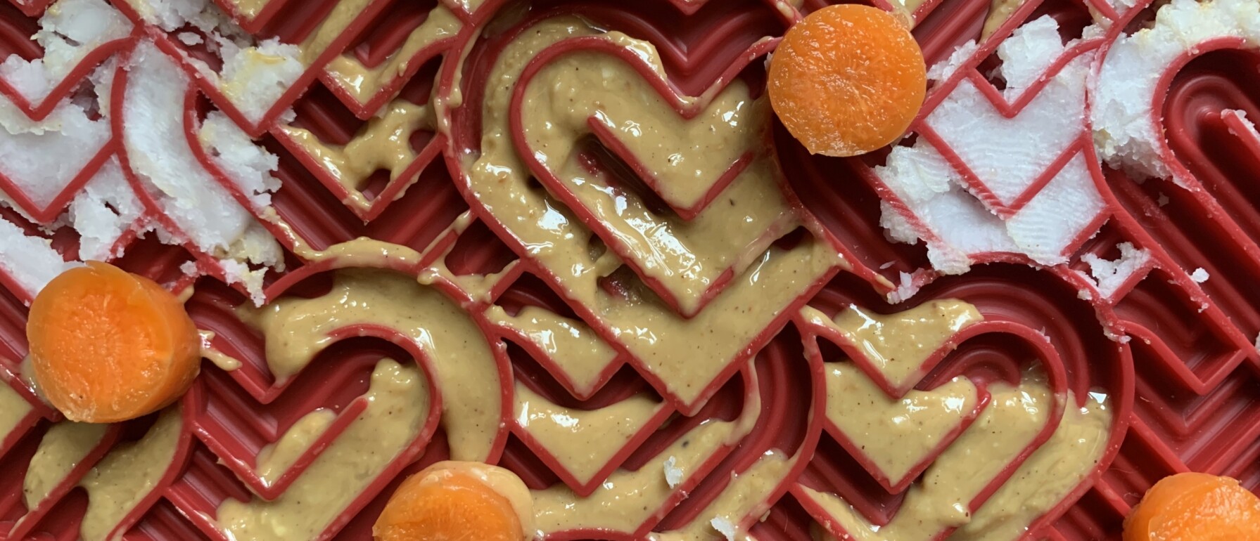 Hoe kan ik mijn hond rustig oud en nieuw laten vieren? Stressvrij