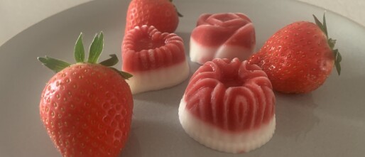 Aardbei bonbons voor je hond maken