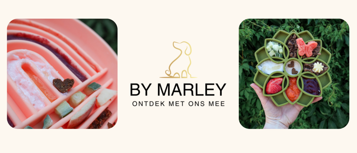 Coomazy Licky matten voor honden, 2 stuks langzame