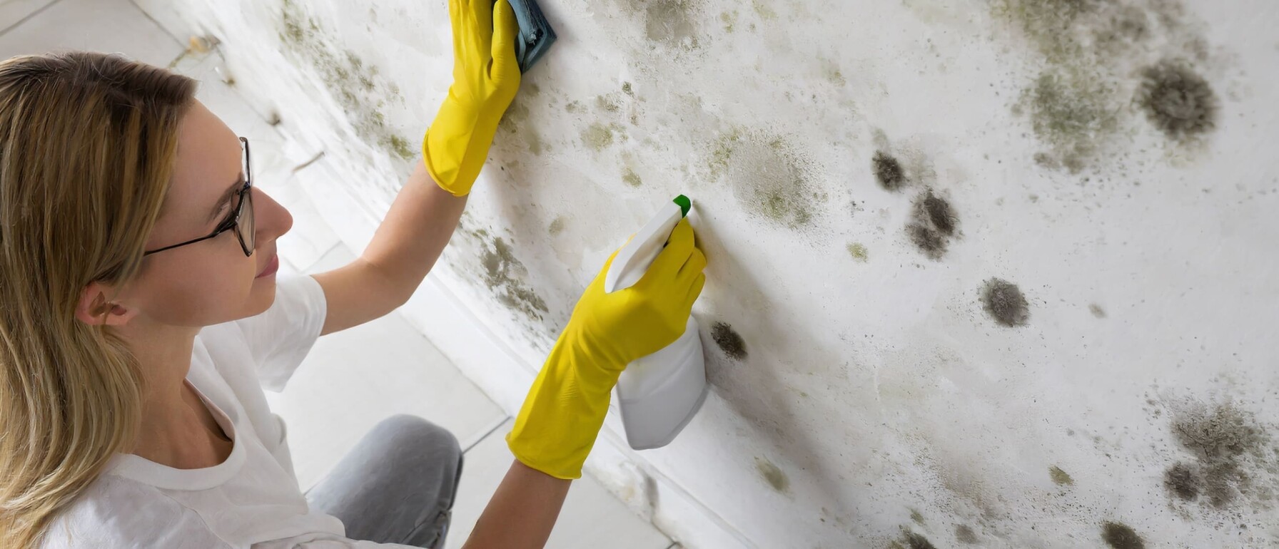 Schimmel op de muur schoonmaken Schrijver Systeem®